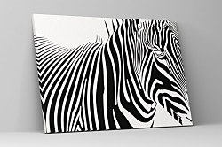 Čiernobiely obraz Zebra 1773